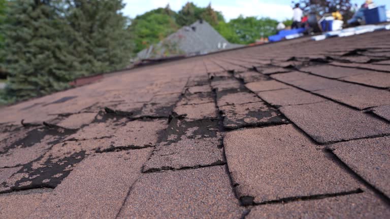 Best Tile Roofing Installation  in Quitman, GA